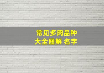 常见多肉品种大全图解 名字